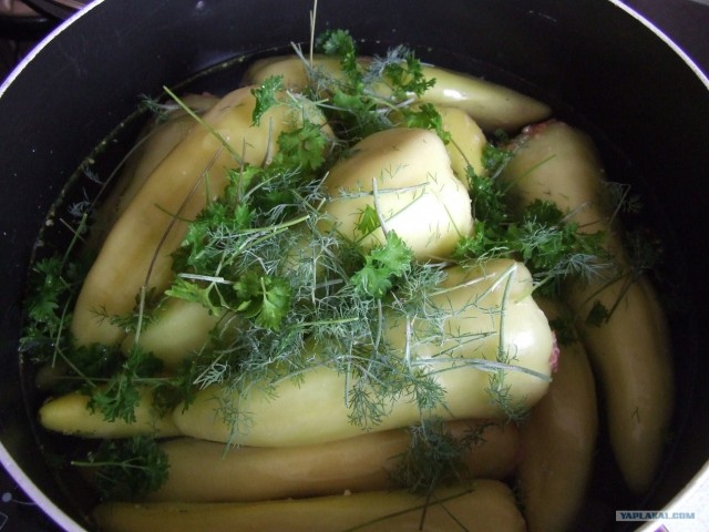 Очень кушать хочется.