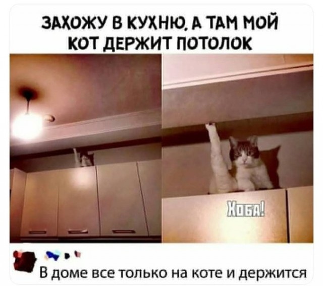 Бредзона 16.07.2021