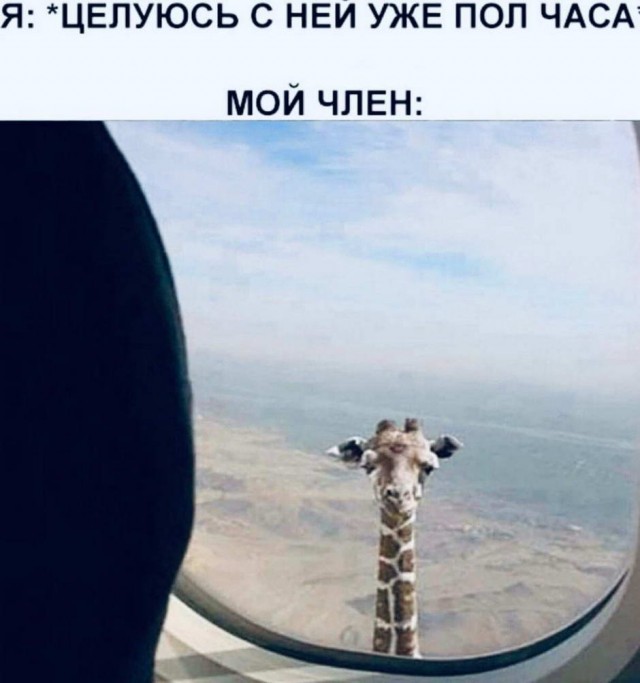 Картинки и мемы для настроения 14.08.2021