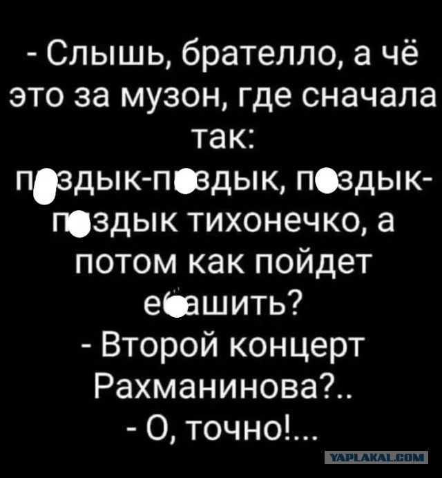Даму нам с баяном в ленту