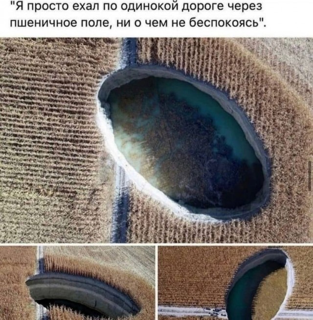 Так себе картинки 03.12.21