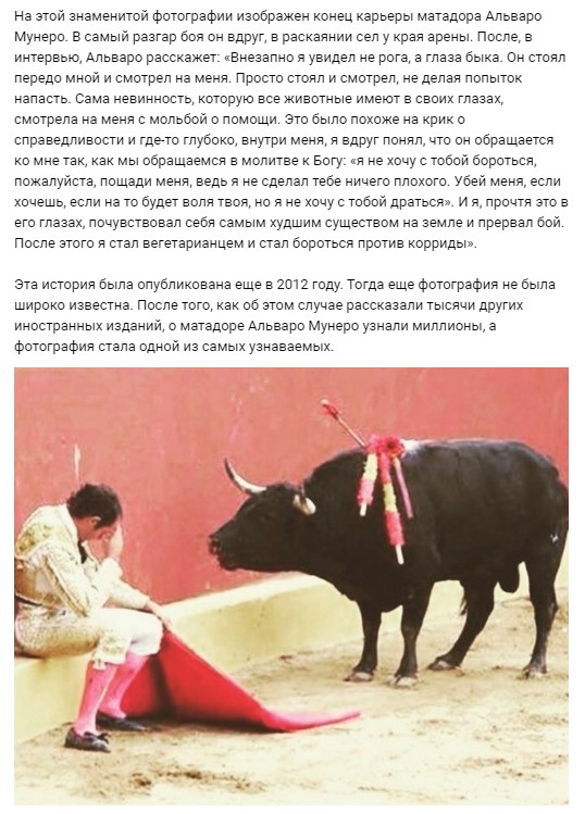 И так бывает