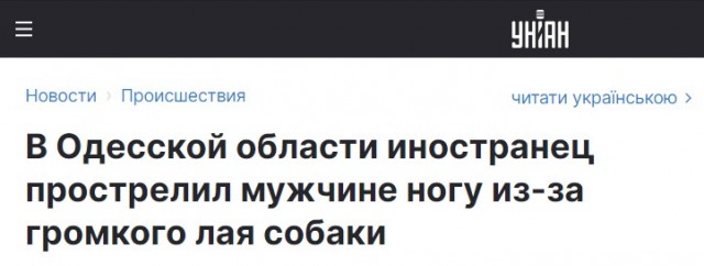 В с. Троицкое под Одессой кавказец прострелил мужику ногу из-за того, что его собака громко гавкала