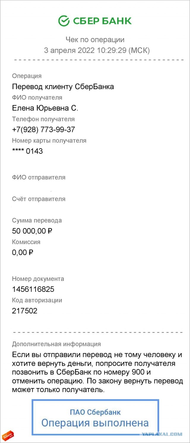 Котики в беде