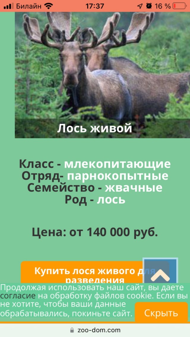 Рашкин попросил правительство РФ заставить Саратовскую область принять купленного им лося взамен убитого