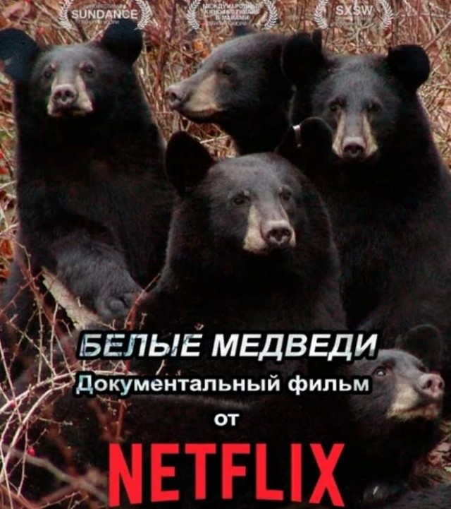 Все отошли от золушки Диснея?