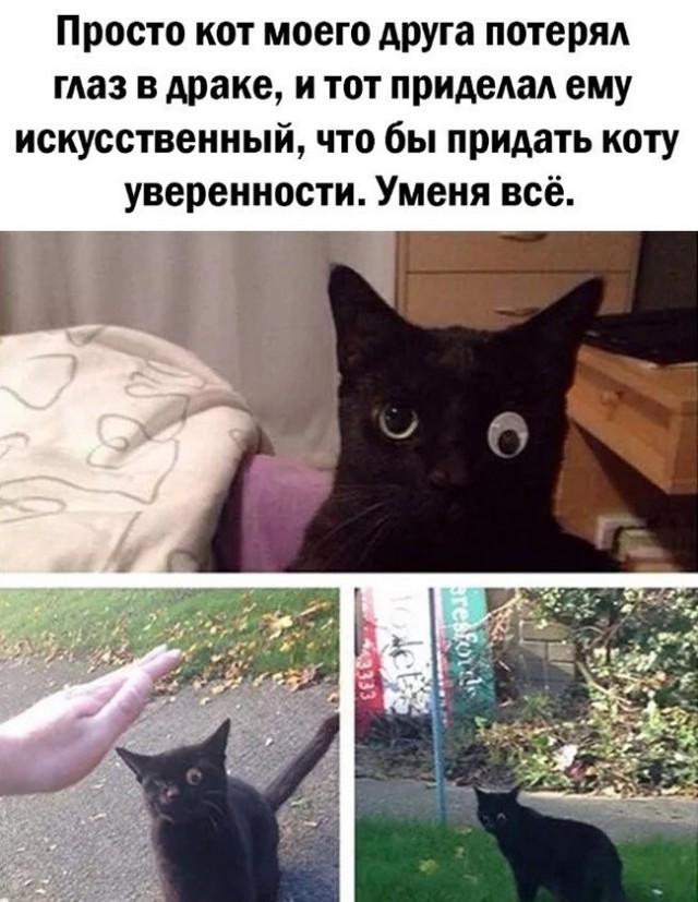 Воскресная чернуха!