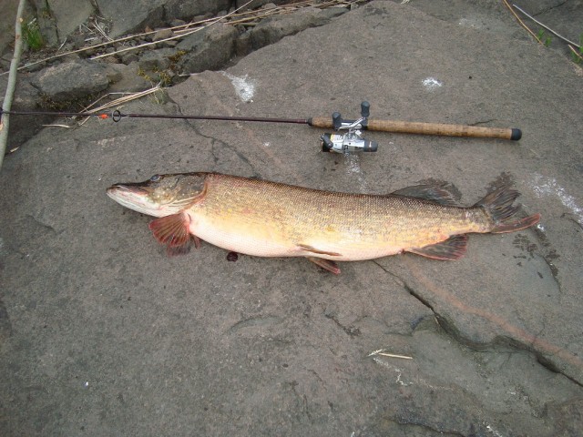 Открытая вода