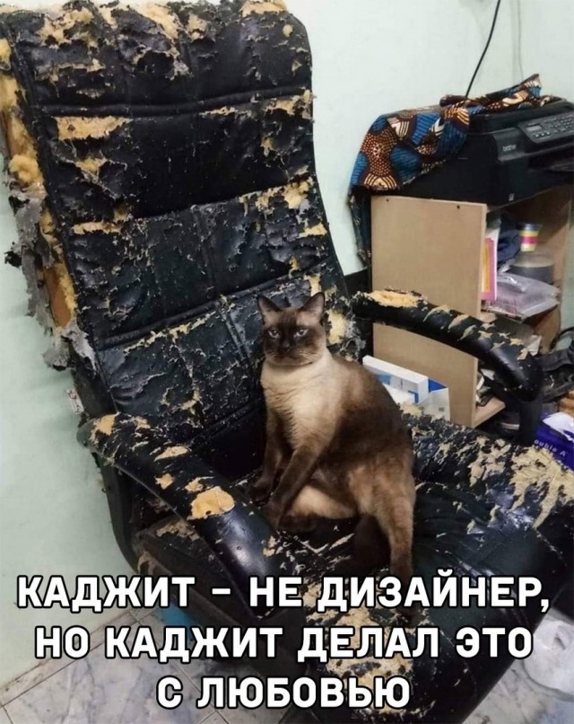 Так себе картинки 23.06.22