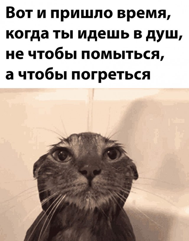 Картинки и мемы для настроения - 009