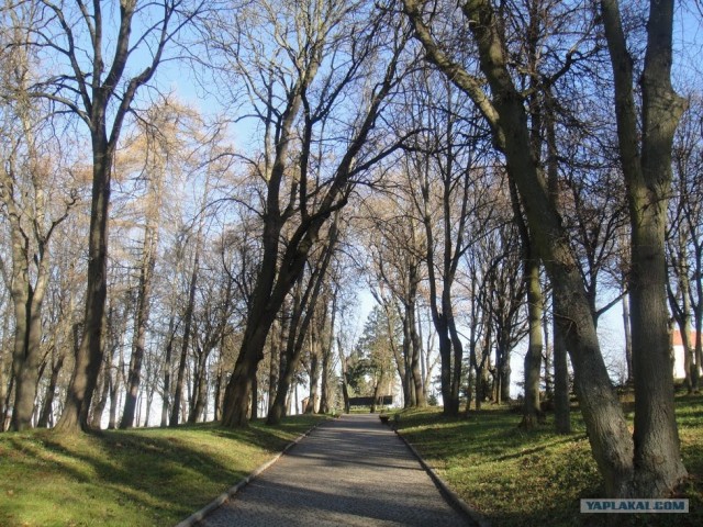 Ураина и украинцы глазами русских.