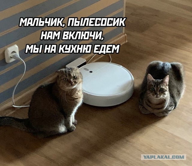 Перлы - 15.01.2023