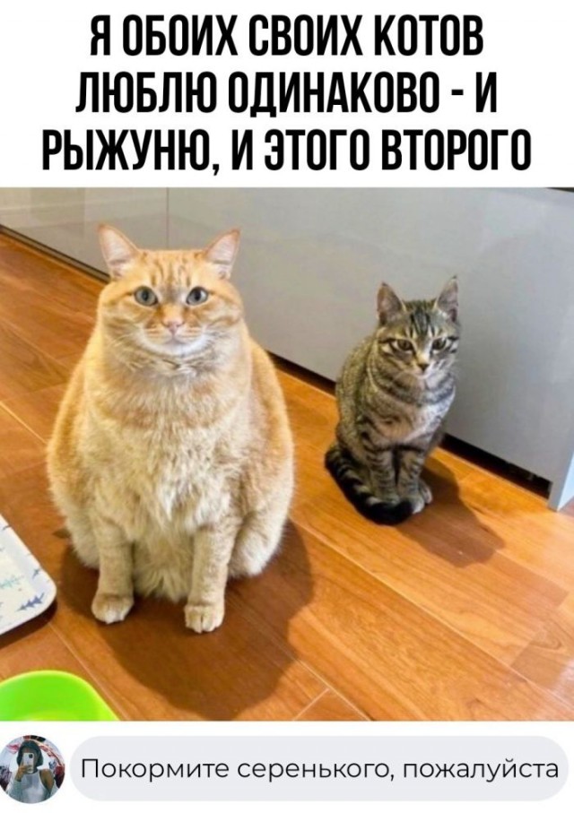 Всем хороших выходных - картинки, мемы и т.п.