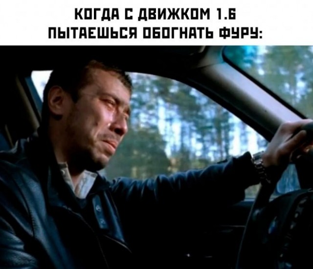 Весёлый полтишок 08.05.23