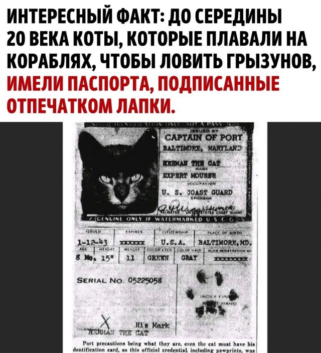 Интересные и редкие ретро-фотографии 31.07.23