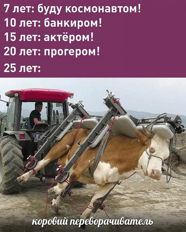 О чём мечтали и кем стали?