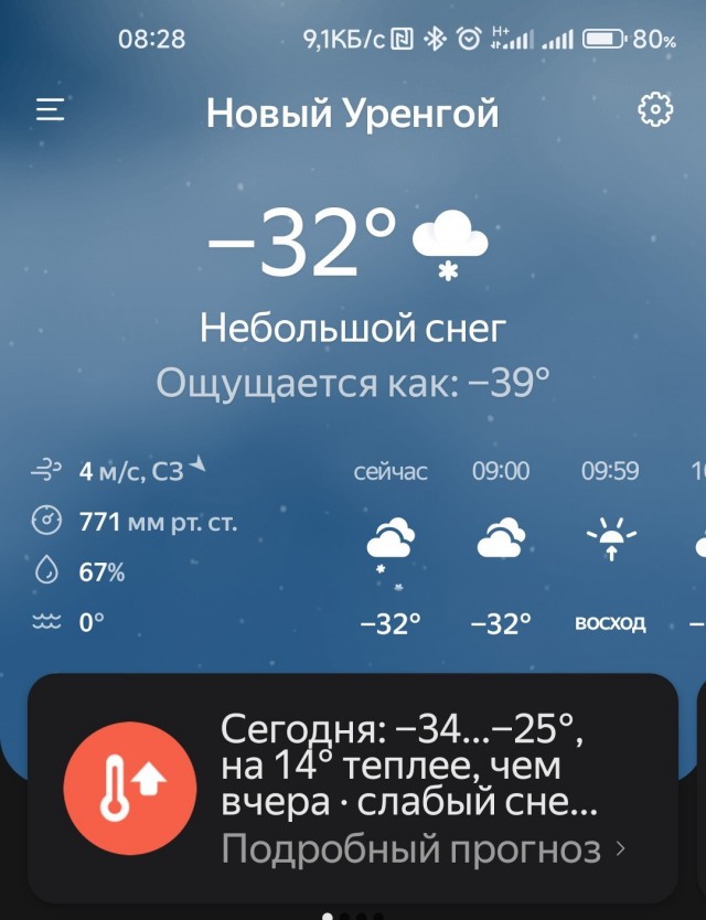 Утренний сюрприз
