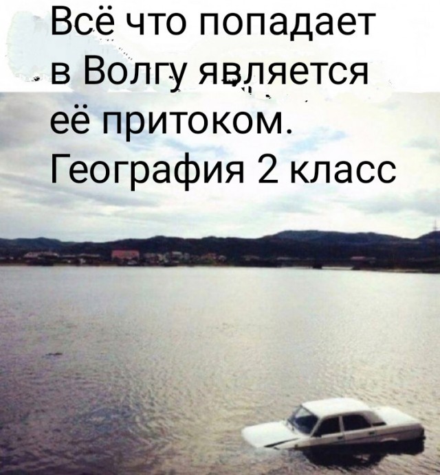 Весёлый полтишок 04.03.24