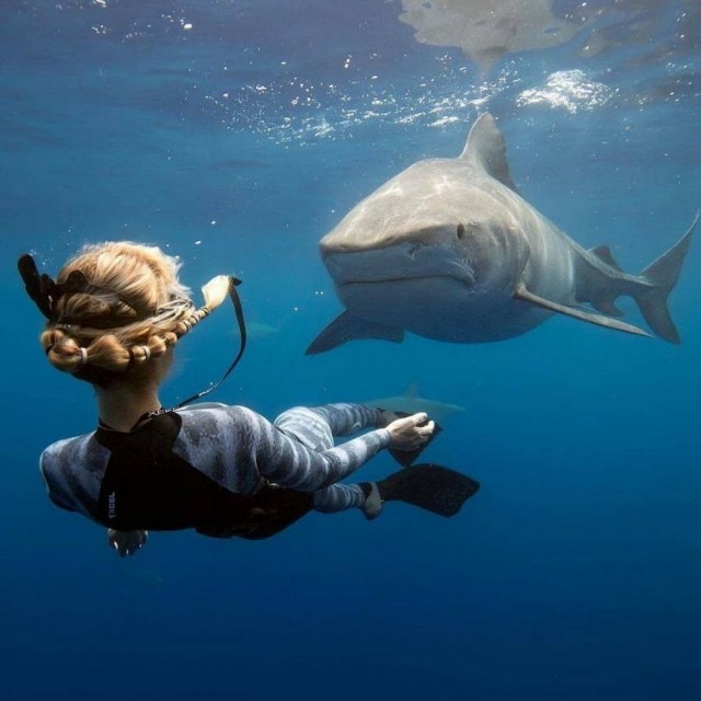 ФотоВинегрет