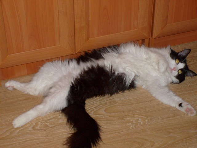 Как я делал ремонт в ванной.