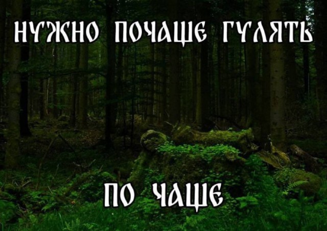 Нуштош 24.07.2024