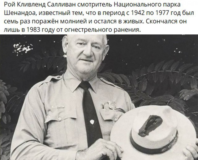 Люди и лица 01.10.24