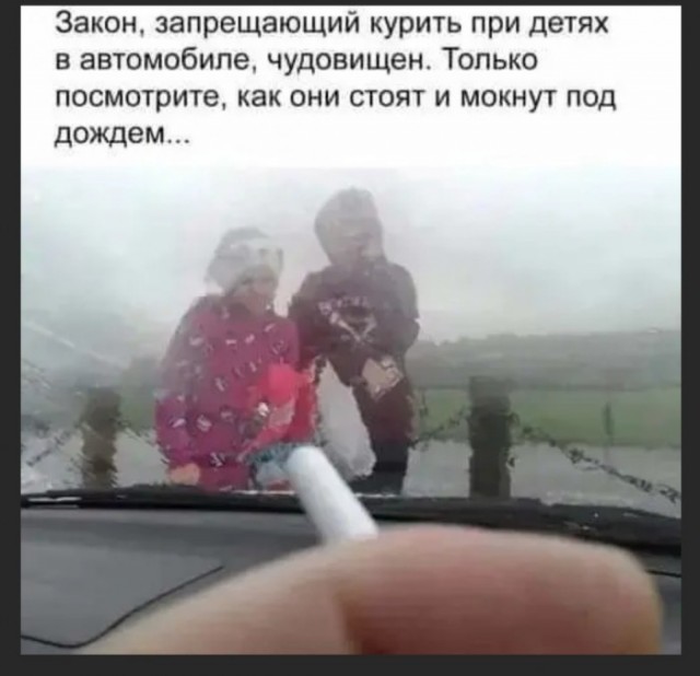 Прикольные и просто красивые картинки 01.11.2024