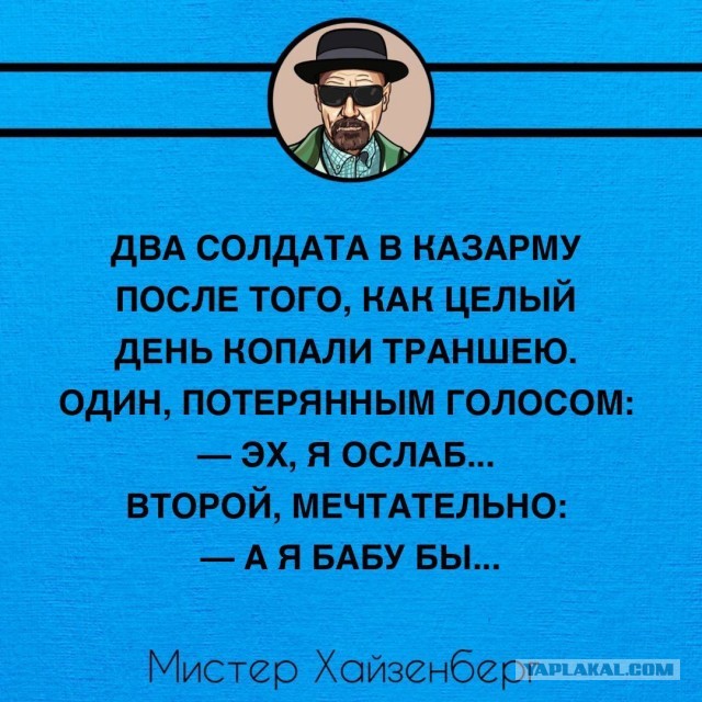Так себе картинки 22.12.24