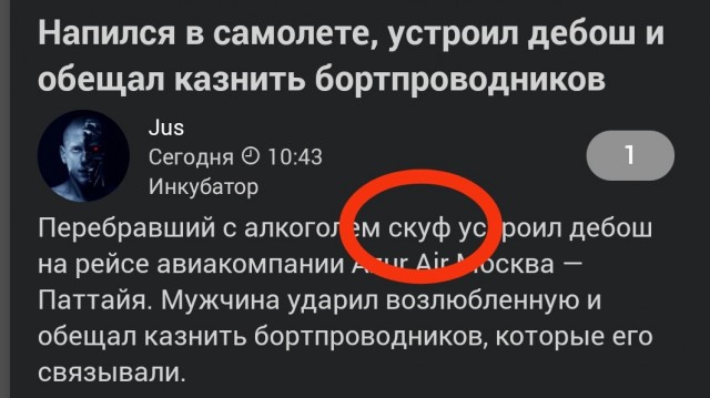 Напился в самолете, устроил дебош и обещал казнить бортпроводников