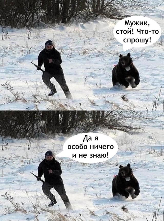 Так себе картинки 06.03.25