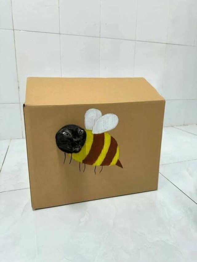 Интересные моменты из мира животных