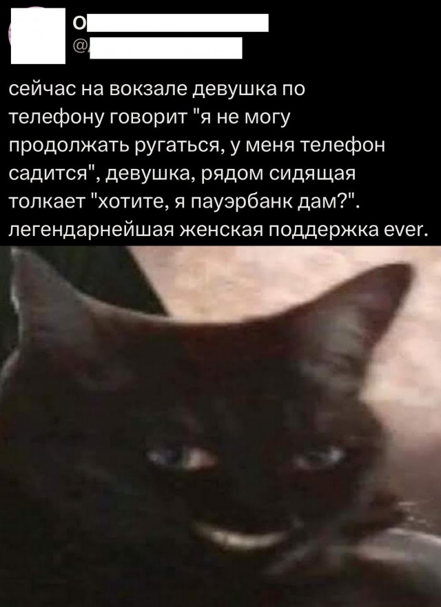 Так себе картинки 20.07.25