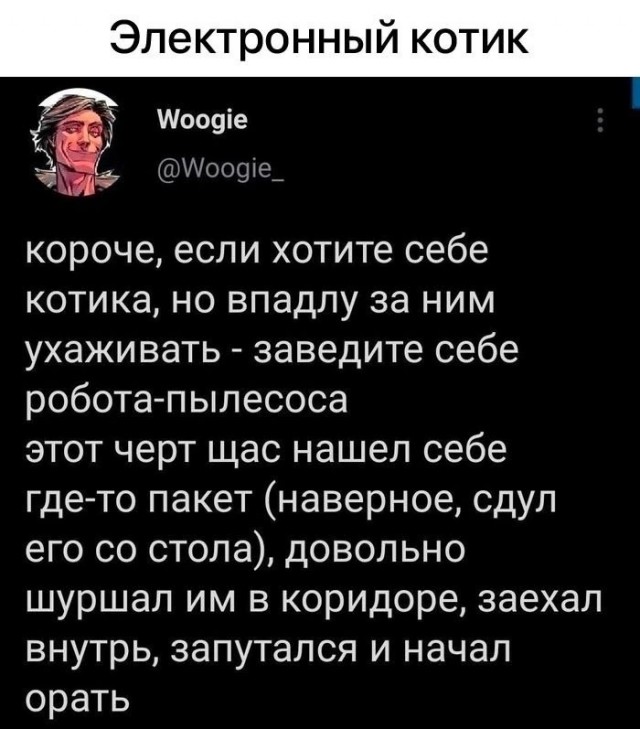 Так себе картинки 10.08.25