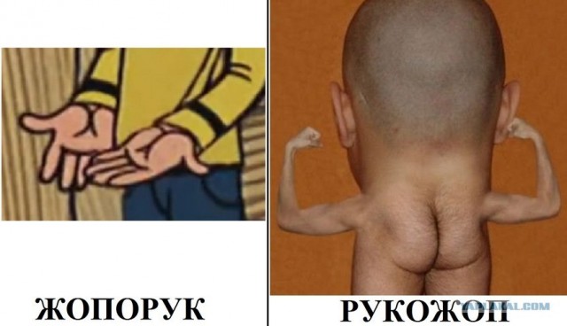 Когда решил что-то приготовить