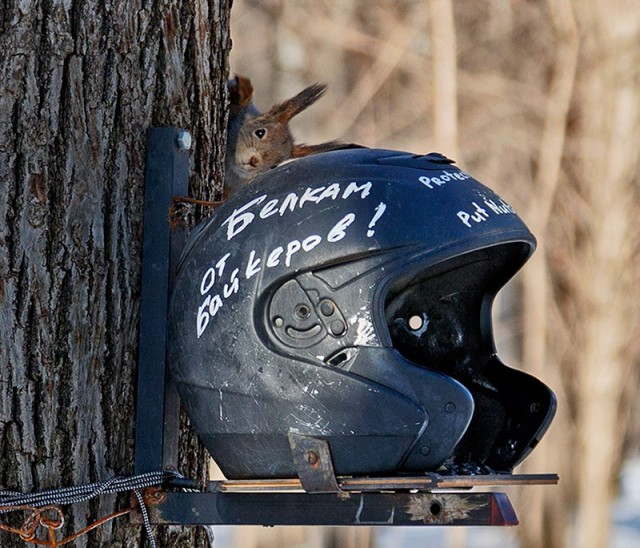 Белкам от байкеров