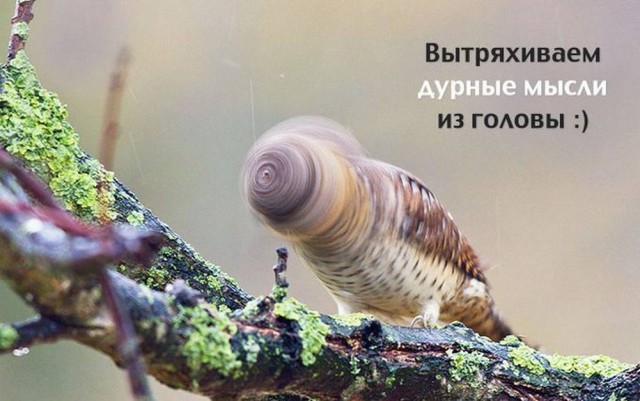 Пятничные картинки
