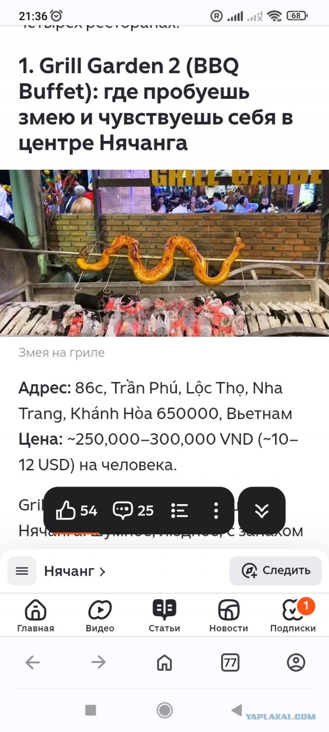 Питон в канализации