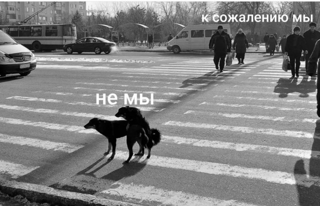 Дегронимикон