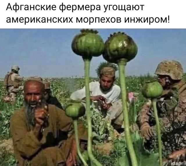 Маленькая пятница 10.12