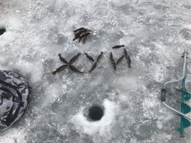 Красота первого льда.