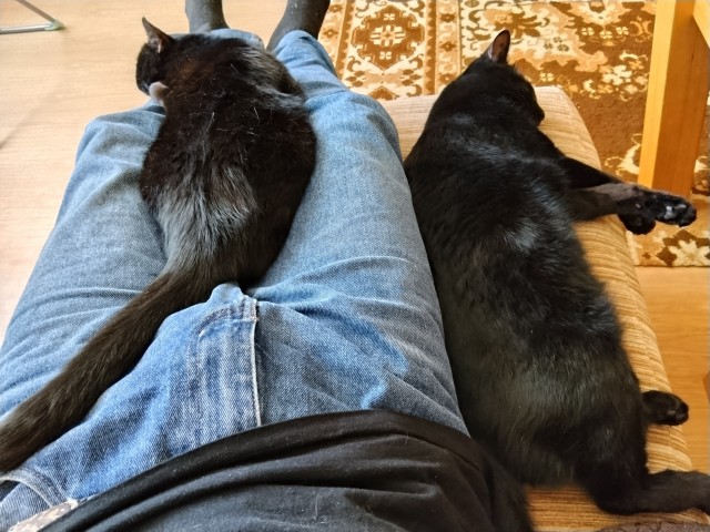 Пока не разобрались