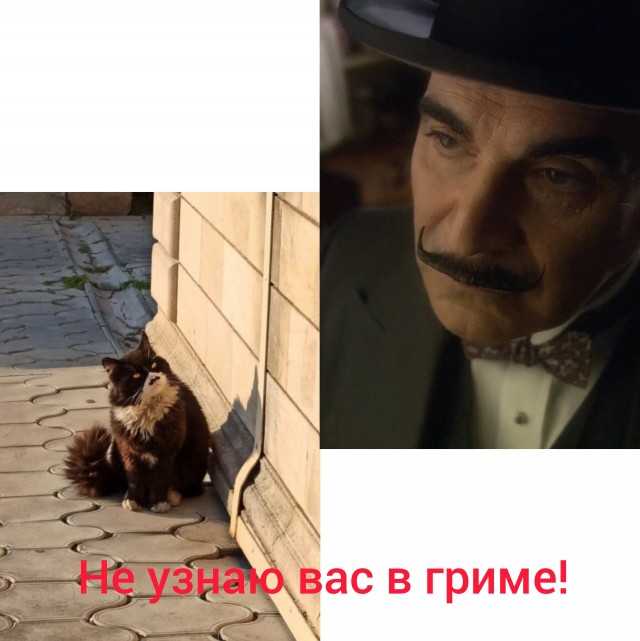 Сиротка - три подбородка