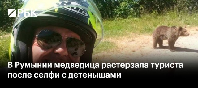 В Румынии турист хотел покормить медведицу и едва сам не стал ее едой
