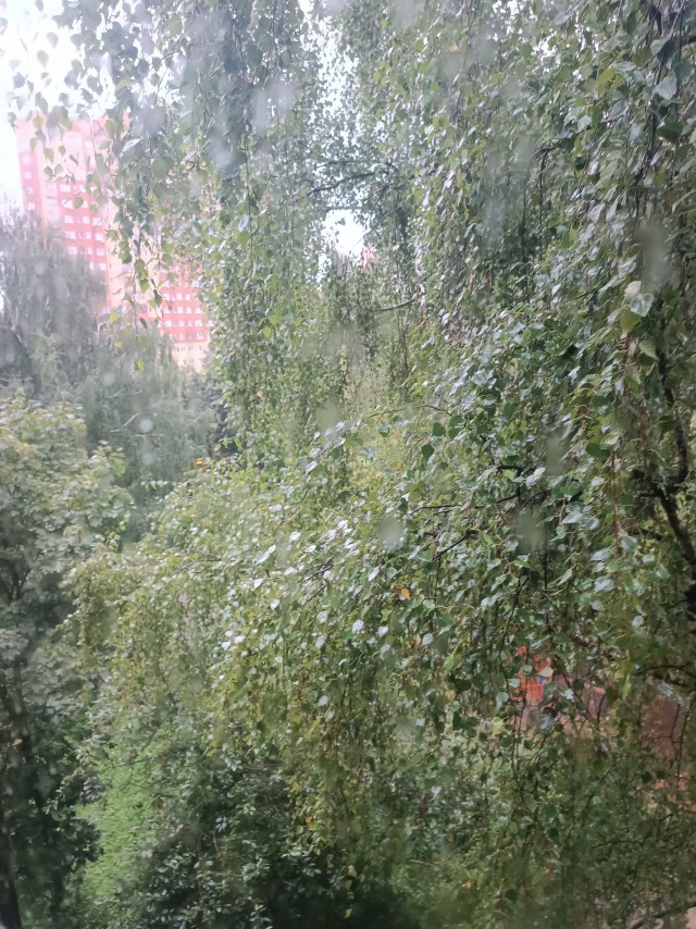 Москва. Срочное сообщение от СоПогИ*