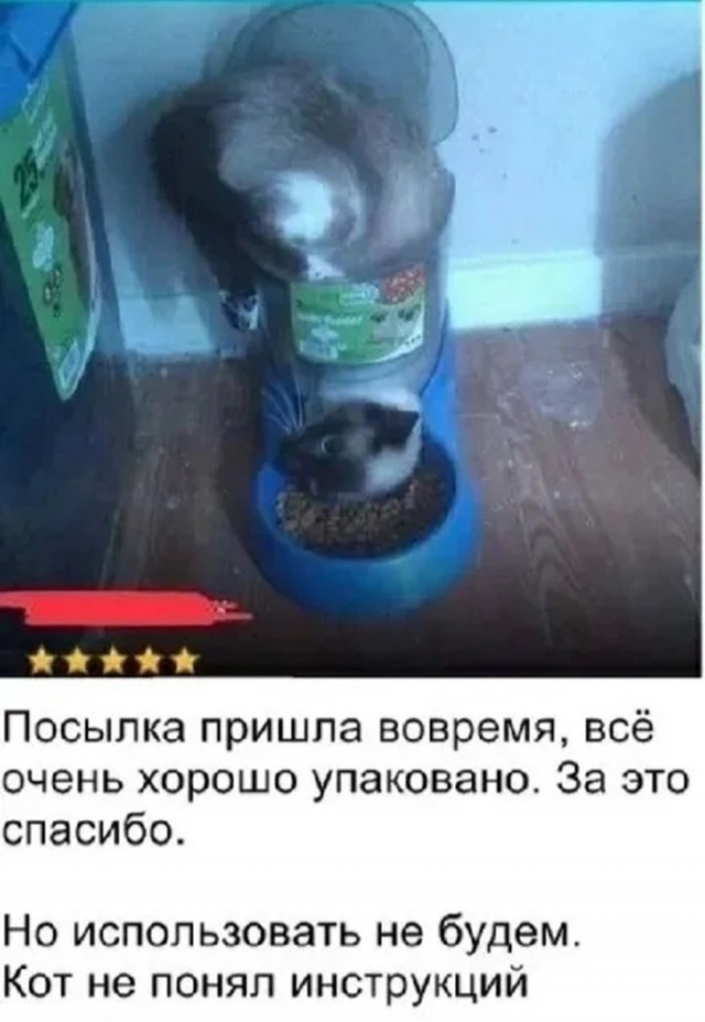 Так себе картинки 10.09.26