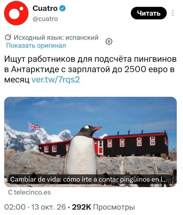 За подсчёт пингвинов в Антарктиде предлагают платить ₽230 тыс. в месяц