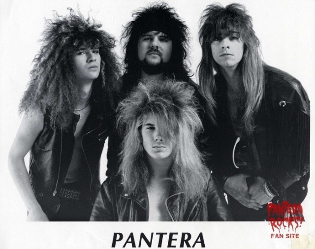 Музыка и музыканты: Pantera