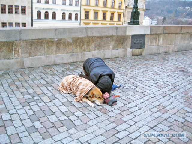 Прага. Фотоотчет.