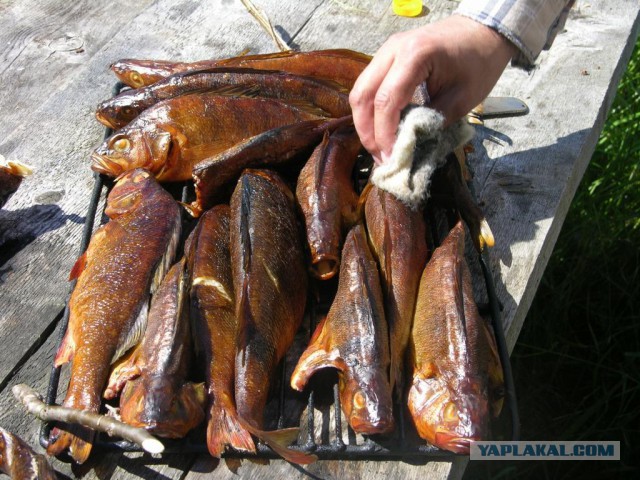 Как я отдыхаю