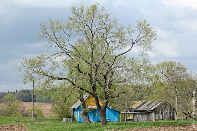 Одинокий дом